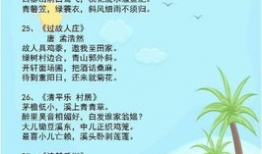 吃瓜爆料配乐有哪些歌,揭秘吃瓜爆料热门配乐大盘点